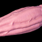 Gode réaliste musclé Brakheth